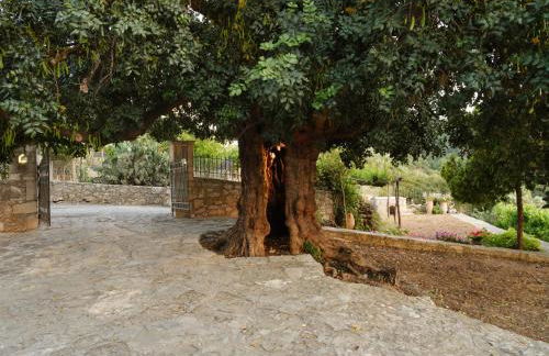 Villa Nikolaos - Foto 37