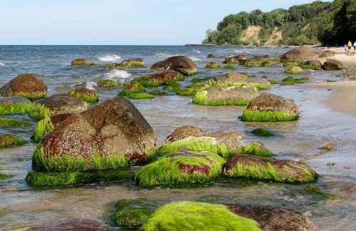 Villa Minna mit großem Balkon - Foto 1