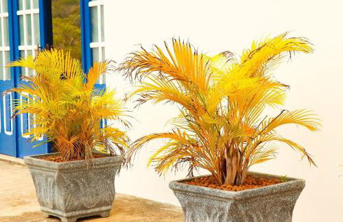 Lar do Biri Biri - Vila do Biri Biri/Diamantina MG - Foto 9