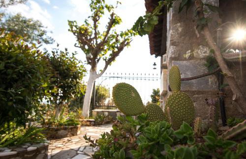 Paradeisos - Foto 44