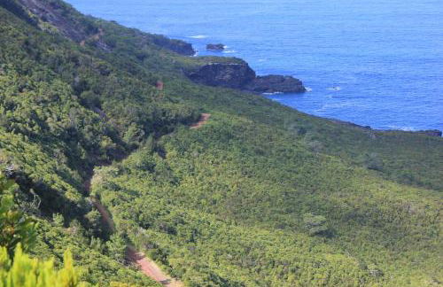 Adega Do Mirante - Photo 20