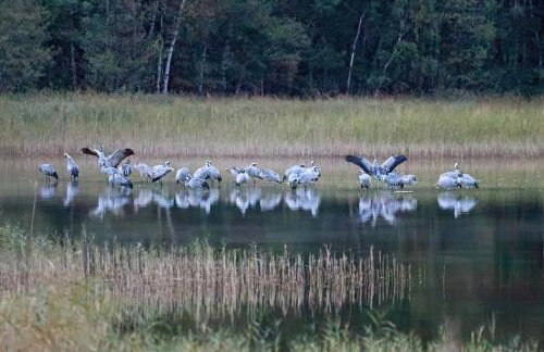 Ferienwohnungen am Federower Hofsee - Photo 23