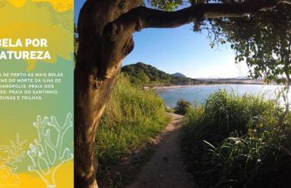 Anfitrião Nativo - Casa de Praia com Piscina - Ingleses & Santinho - Foto 8