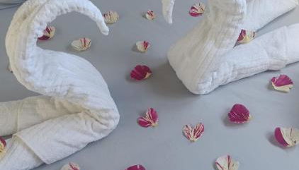 El Rinconcito de Luisa - Foto 4