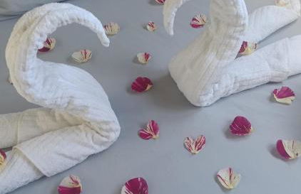 El Rinconcito de Luisa - Photo 4