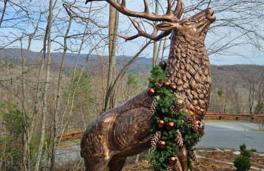 Unique Rustic Barn Theme home Amazing views! Luxe - Foto 11