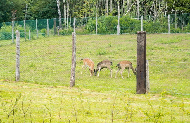 Secluded Chalet in Rogery - Photo 8