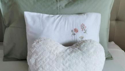 Appartement Willy St. James Luz - Photo 3