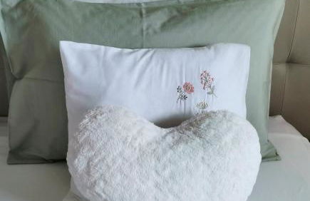 Appartement Willy St. James Luz - Foto 3