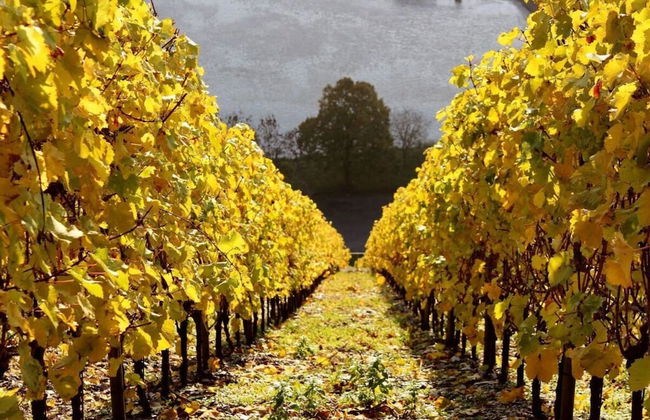 Foahrgaass 7a Modern Retreat - Foto 25