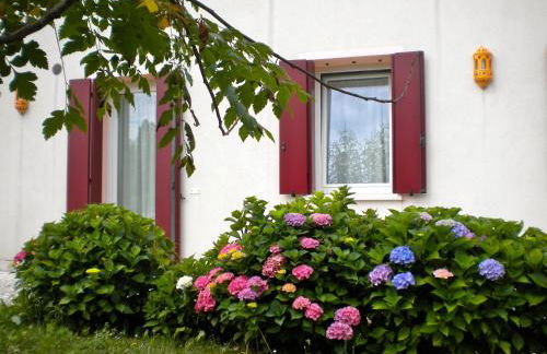 Agriturismo Il Magicorto - Photo 54