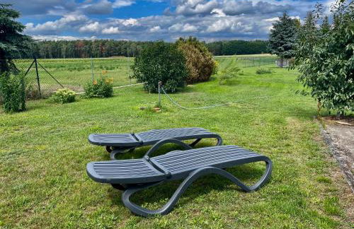 Hof zum alten Birnbaum - Foto 8