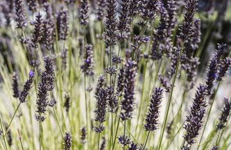 Talblick 5, mit Sauna und wunderschönen Panoramablick NEU - Foto 46