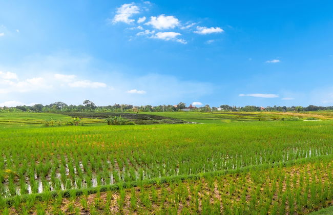 Sound of the Sea Villa - Photo 57