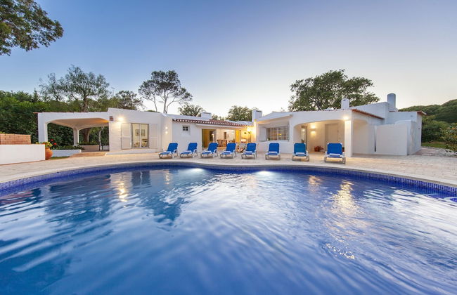 Villa AlGharif - Photo 51