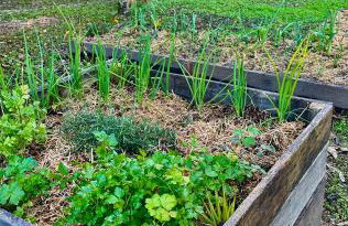 Reserva Pedra da Mata - Foto 8