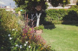 Zacharoulas Katikies - Foto 78