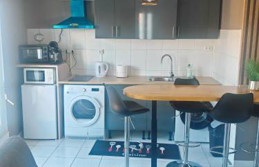 F1 220 metre de la GARE - Foto 11