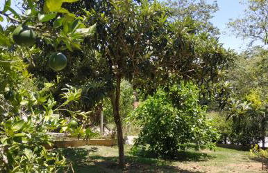 Casa Lot Fechado, Churrasqueira, Piscina, Toboágua, parque para crianças , Internet - Photo 26