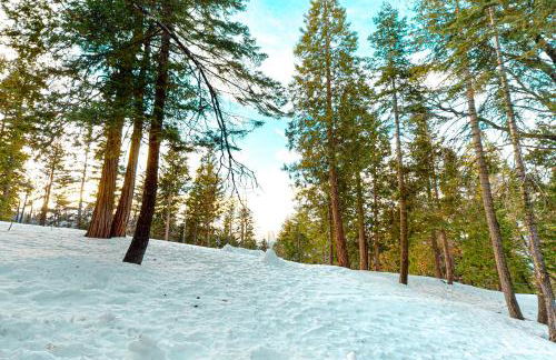 Forest Glen - Foto 10