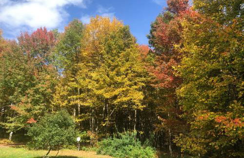 Catskills Enchanted Forest - Foto 20