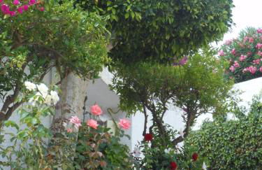 Las Palmeras del Cantal - Foto 32