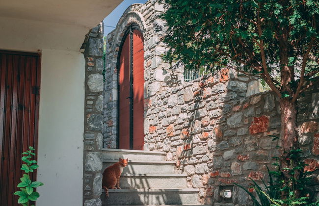 Casa Di Bella - Photo 17