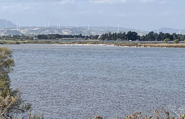 Beachfront Family Holiday Villa Perivolia - Foto 33