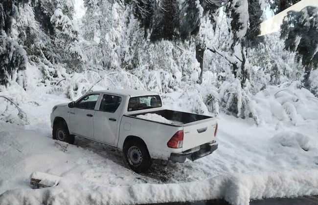 Rincon del Bosque - Foto 20