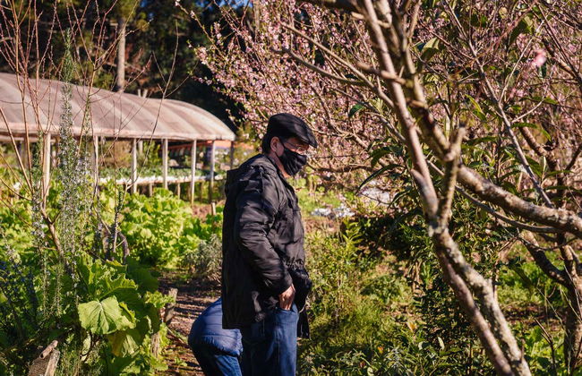 Tour en jardineira por Linha Ávila - Foto 7