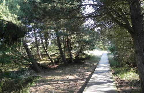 Haus Strandweg 8 Friesenhaushälfte *Steuerbord* - Foto 26