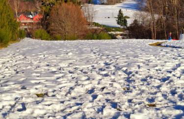 Ferienhaus du Bourguignon, Lorraine - Foto 42