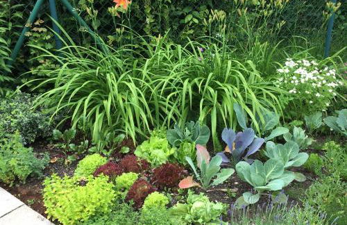 ZEIT für DICH - Foto 38