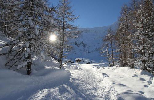 Apparthotel Marteshof - Foto 52