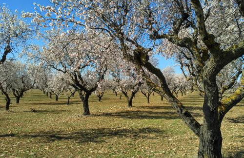 Natura Jordan - Foto 71
