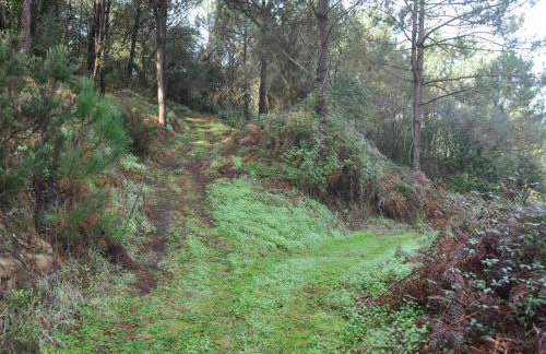 Quinta do Bom Vento - Photo 122