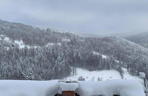 Pod Srebrzystym Świerkiem - Jacuzzi - Foto 54