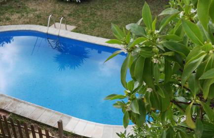 Dream House - Photo 45