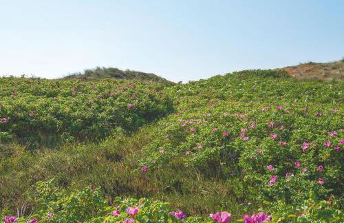 Kliffsand-72 - Foto 11