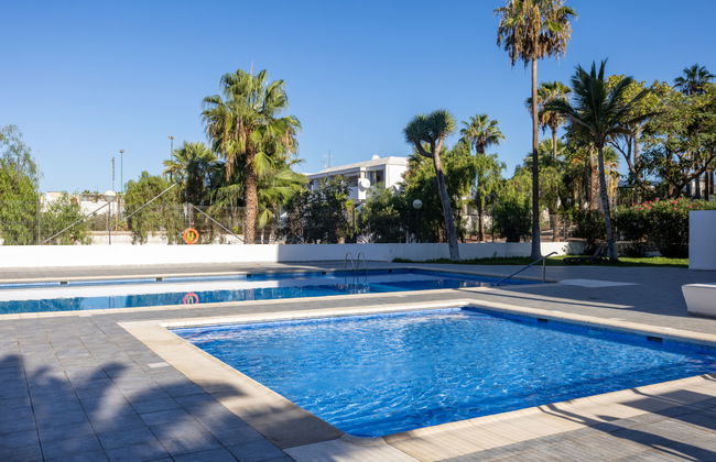 Comfy Altemar - Foto 27