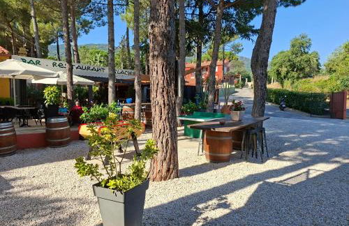 Domaine Des Mimosas - Foto 61