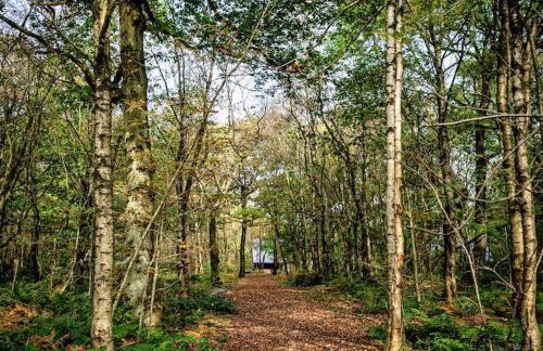 Padley; woodland lodge with hot tub for 2-4 in the Staffordshire Moorlands - Foto 20