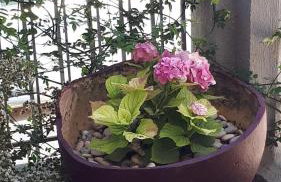 Kate-Mari House - Foto 22