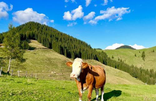 Alpin Chalet Reit im Winkl - Foto 17