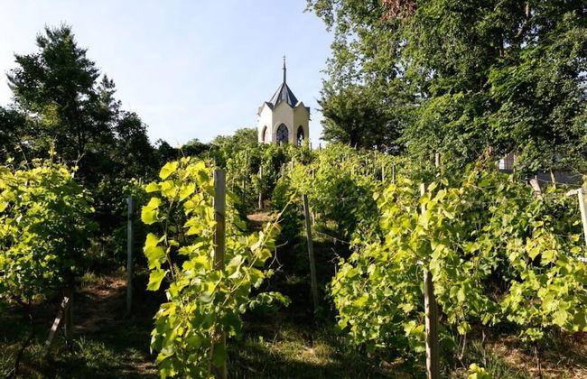 Holiday Apartment in Werder - Foto 8