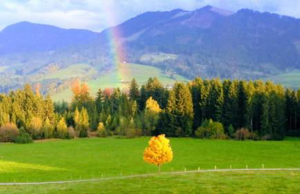 Alpine Lodge Wertach - Photo 23