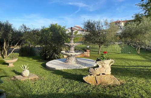 Apartments Sea Heaven - Photo 12