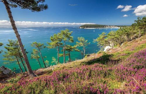 Appartement cosy les pieds dans l’eau, vue mer exceptionnelle - Foto 12