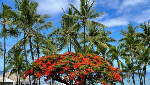 Beach Villas Kahaluu on Kona Coast - Foto 5