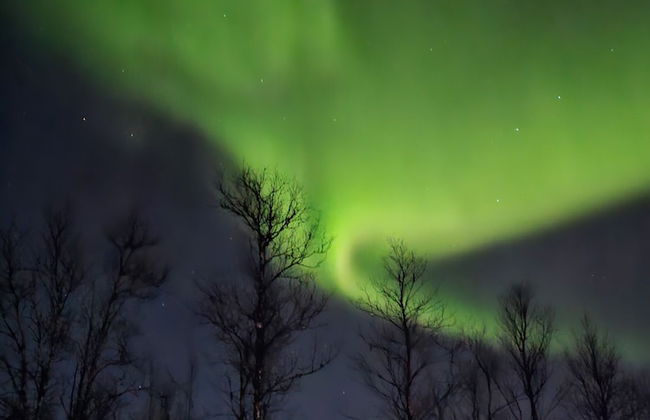 Elvestua House in Nature - Foto 35